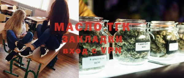 молекула духа Арсеньев
