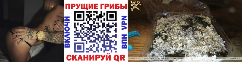 Галлюциногенные грибы прущие грибы  наркошоп  Котельниково 
